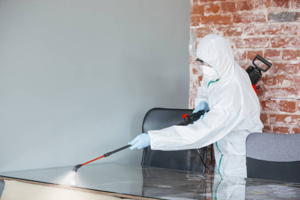 Best Residential Mold Inspection & Testing  in Riley, KS